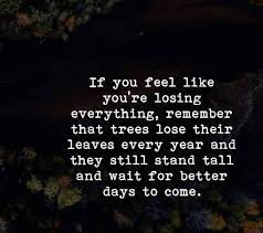 A Great Life Quote Stand Tall Even If You Lose Stuff That Is Part Of Your Daily Routine Wait For B Life Gets Better Quotes Get Well Quotes Love Nature Quotes