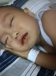 Profile for Reu the Little Warrior