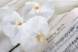 Are you see now top 20 lagu baru padi 2018 results on the my free mp3 website. 50 Lagu Romantis Untuk Pernikahan Mu How To The Bride Dept
