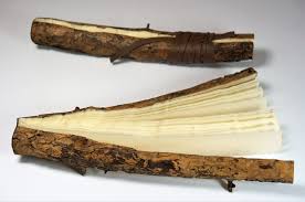 Image result for suze woolf