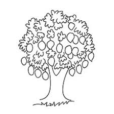Free printable coloring pages for children that you can print out and color. Top 25 Tree Coloring Pages For Your Little Ones