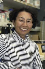 Her mother, emiko, took her to her first piano lesson in the june following her fifth birthday. Keiko Dawid Ph D Principal Investigators Nih Intramural Research Program
