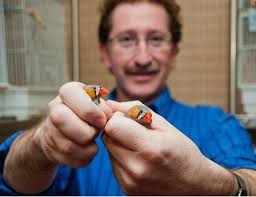 The Animal Behavior Society