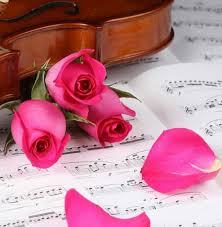 Pin By Majestic Soul On Beautiful Cute Flowers Beautiful Whatsapp Dp