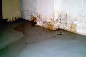 Water intrusion due to seepage issues is not common in homes and offices, usually manifesting in ceiling leakage and toilet leakages. Wall Seepage Repair Dryproof Waterproofing Singapore