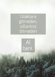 A Betul Adli Kullanicinin Yyk Dktt Sfb Adml Cno Dt Knbsk Panosundaki Pin Alinti Sozler Altin