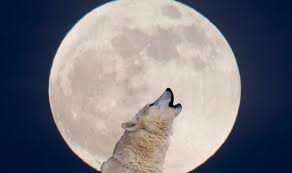 1 will be in cancer, which means that it will create especially fertile and emotional conditions. Full Moon Meaning What Is The Meaning Behind The Wolf Moon S Name Science News Express Co Uk