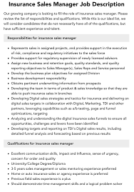 Insurance Sales Manager Job Description | Velvet Jobs