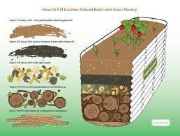 We did not find results for: How To Fill Raised Garden Beds With Soil And Save Money Vego Garden