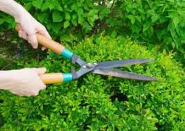 90 likes · 1 talking about this. Services A La Personne Aide A Domicile Artisanat A Domicile