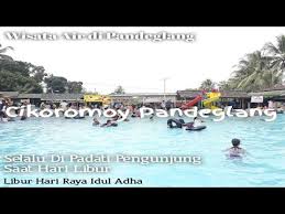 We did not find results for: Tiket Masuk Cikoromoy Wisata Murah Pemandian Cikoromoy Di Kabupaten Pandeglang