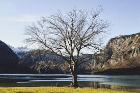 Maybe you would like to learn more about one of these? The Most Beautiful Places In Slovenia And Where To Go Instead Czick On The Road