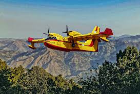 Image result for Natural Yellow 2000 Fleet