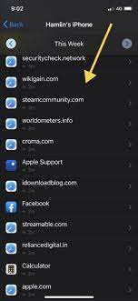 How To See Websites Visited With Screen Time On Iphone & Ipad | Osxdaily