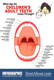 Pin On Dental