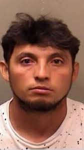 Bloomington man pleads guilty to deadly hit-and-run