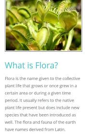 Flora = flowersfauna = animalsflorafauna1. Flora And Fauna Meaning In Tamil