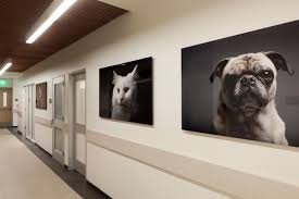 Check spelling or type a new query. 440 Clinic Ideas Hospital Design Pet Clinic Veterinary Hospital