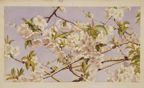 Image result for Apple Blossom 1933 Rockne