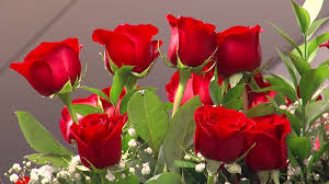 She is my go to girl. Local Florists Say Let It Grow Let It Grow To Valentine S Day Localmemphis Com