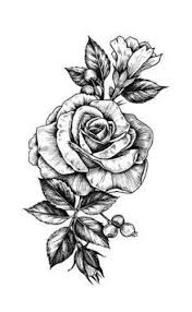 Terpopuler 30 Lukisan Bunga Mawar Simple 20 Sketsa Bunga Mawar Mudah Di Gambar Dan Sederhana Download Mudahn Rose Drawing Tattoo Rose Tattoos Rose Drawing