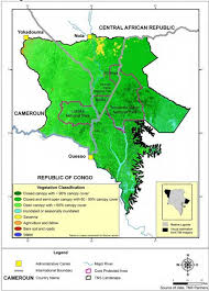 Image result for Uvariastrum germainii