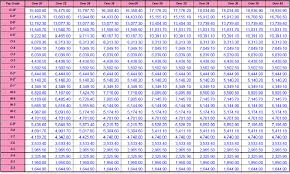 55 Unfolded Army National Guard Pay Chart 2010 Enlisted