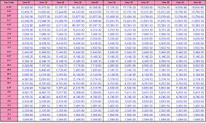 55 Unfolded Army National Guard Pay Chart 2010 Enlisted