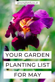 Gardening advice has to be adjusted to consider the weather. Gardening Calendar What To Plant In May Growing Family