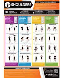 20 Best Gym Posters Images Workout Posters Gym Workouts