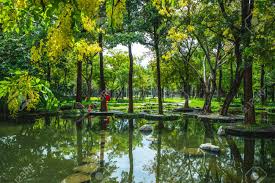 The new park and trail in jennings lodge are complete! Scenery Of Dadong Wetland Park Kaohsiung Taiwan Stock Photo Picture And Royalty Free Image Image 124857222