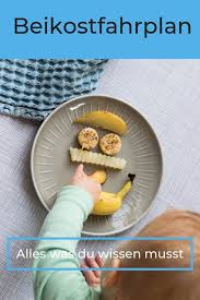 Beikostfahrplan Als Onlinekurs Jetzt Ganz Entspannt In Die Beikost Starten Und Ohne Stress Und Ohne Brei Dein Baby G Beikost Breifrei Rezepte Beikost Starten