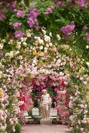 Photo Rosenneuheitengarten Baden Baden By Tina Horst Herzig Photography Schone Blumen Garten Und Blumen Anbauen