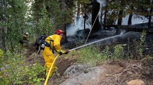 A wildfire that has been burning for two weeks just south of lake tahoe in california quickly expanded over the weekend, jumping a highway and prompting a wave of evacuations and event cancellations. Gw Pailqksjim