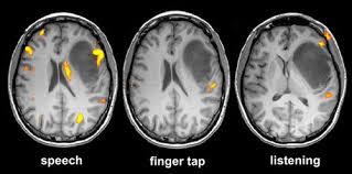Pin On Introduction To Psychology Course