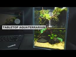 This time i tried to make diy waterfall terrarium.its a beautiful decoration piece for the living room.if you like the video press thumbs up button ,share ,like , comment & subscribe.material;glass bowl, plaster of paris,acrylic colors, hobby … Giant Koi Betta Aquaterrarium With Waterfall From Wood And Rocks No Co