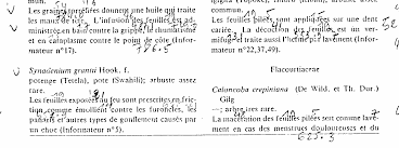 Image result for Caloncoba crepiniana