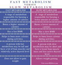 What Is The Difference Between Fast And Slow Metabolism Pediaa Com