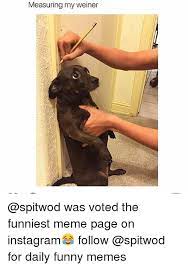 We did not find results for: Measuring My Weiner Was Voted The Funniest Meme Page On Instagram Follow For Daily Funny Memes Funny Meme On Me Me