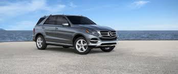 Image result for Selenite Gray 2019 A