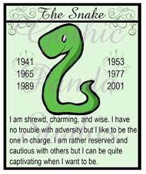 Year Of The Snake Chinese Zodiac Badge