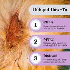 Image result for hotspot dogs