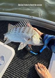 stripers and bass club