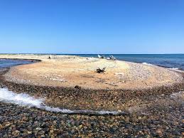 Jeff and his mom run a clean, reasonably priced, centrally located motel. One Day In Paradise Michigan Little Blue Backpack