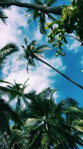 Pinterest Olivia Stromberg Photo Paysage Magnifique Paysage Plage Photos Paysage