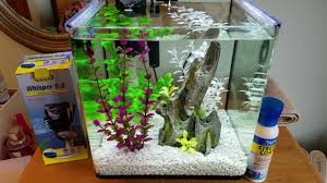 Aquarium salt vs sea salt. Treating Betta Fin Rot Aquarium Salt Stress Coat Youtube