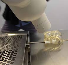 Vet, furry patients settle into roomy new Chester digs