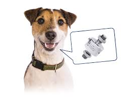 To do this, locate the position where the strap should go on your dog by: Tests Of Forces Acting On Collars And Harnesses For Dogs Hbm