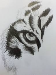 Darken the eyes and give them some eyelashes. Tiger Eyes Tattoo Stencil Novocom Top