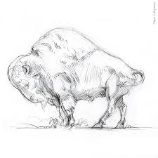 Bison Sketch Bison Art Buffalo Art Buffalo Painting
